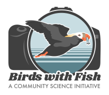 Logo with a tufted puffin in a camera lens