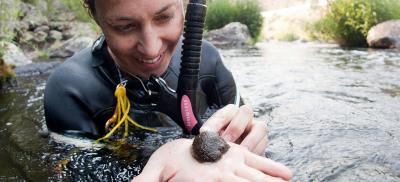 graduate student in wetsuit stands in river holding snail