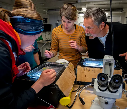 Three people lean in as they look at samples from microscopes. 