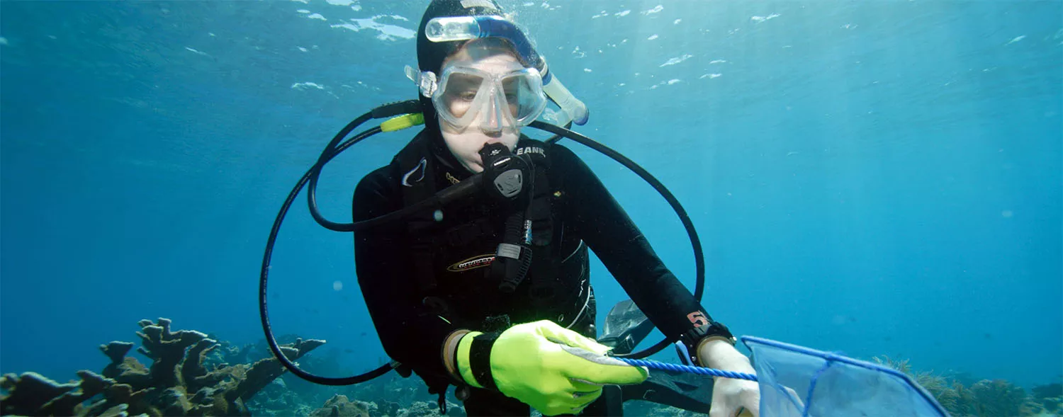 student researcher collecting samples underwater in scuba gear
