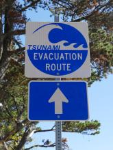 A tsunami evacuation sign with an arrow pointing towards the evacuation route.