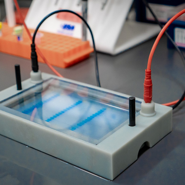 A small, low, gray frame holding a gel. It has black and red wires connecting to it.